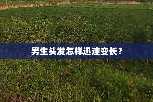男生头发怎样迅速变长？