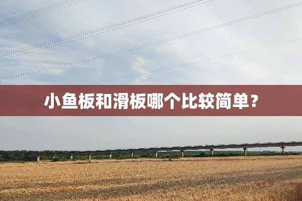 小鱼板和滑板哪个比较简单？