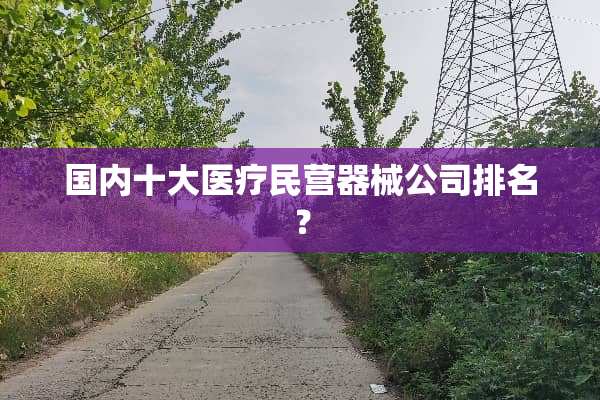 国内十大医疗民营器械公司排名？