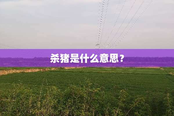 杀猪是什么意思？