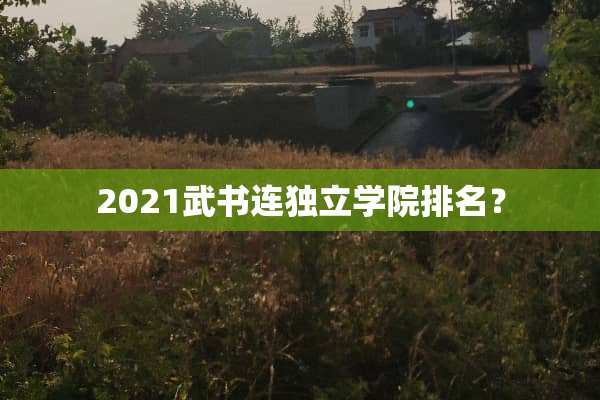 2021武书连**学院排名？