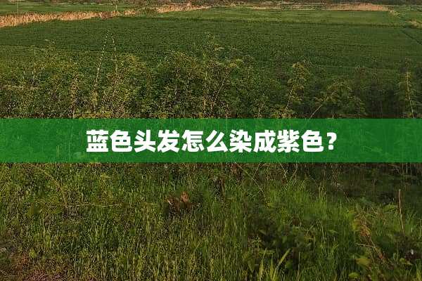 蓝色头发怎么染成紫色？