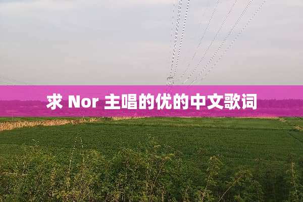 求 Nor 主唱的优的中文歌词