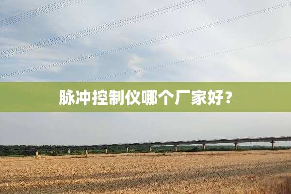 脉冲控制仪哪个厂家好？