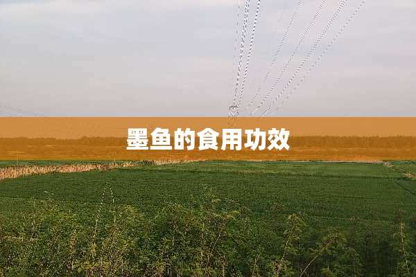 墨鱼的食用功效