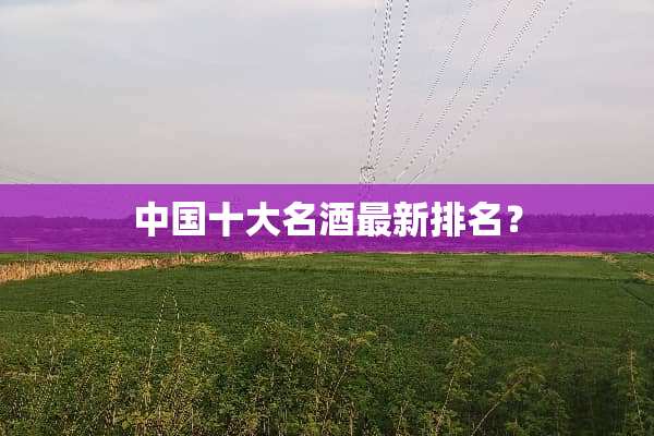 中国十大名酒最新排名？