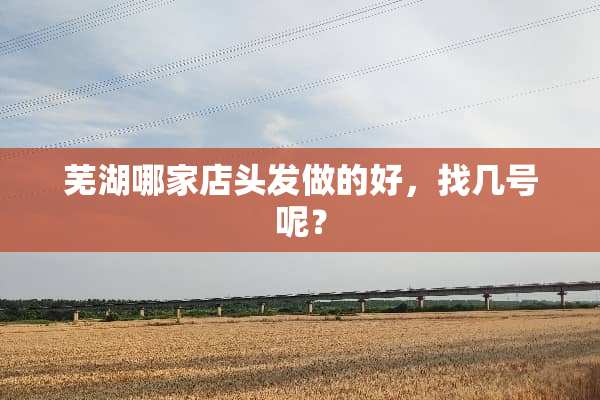 芜湖哪家店头发做的好，找几号呢？