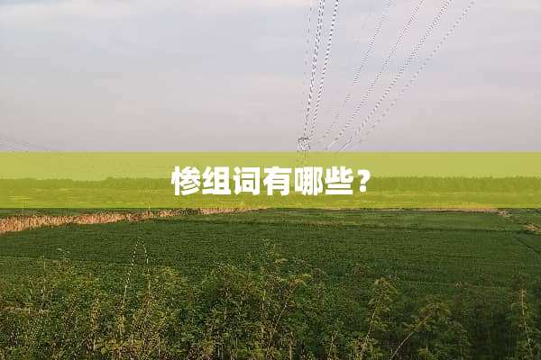 惨组词有哪些？