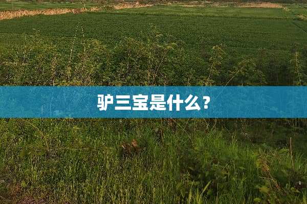 驴三宝是什么？
