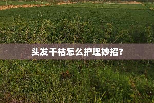 头发干枯怎么护理妙招？