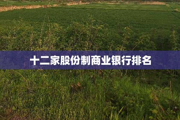 十二家股份制商业银行排名