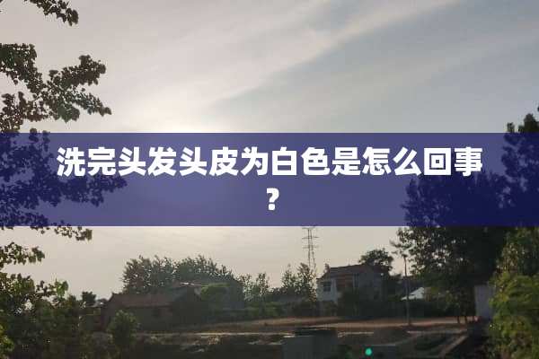 洗完头发头皮为白色是怎么回事？