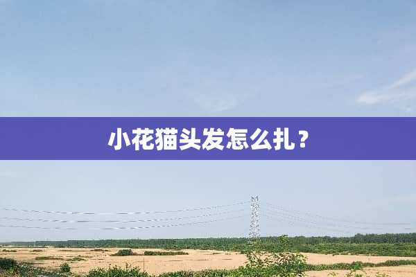 小花猫头发怎么扎？
