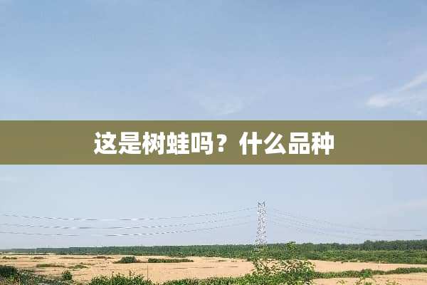 这是树蛙吗？什么品种