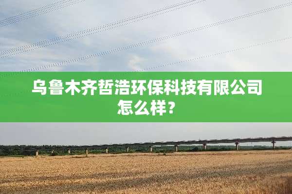 乌鲁木齐哲浩环保科技有限公司怎么样？