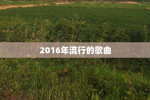 2016年流行的歌曲