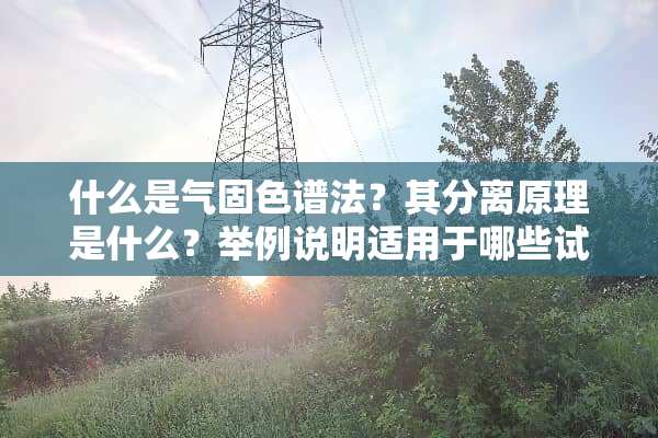 什么是气固色谱法？其分离原理是什么？举例说明适用于哪些试样？