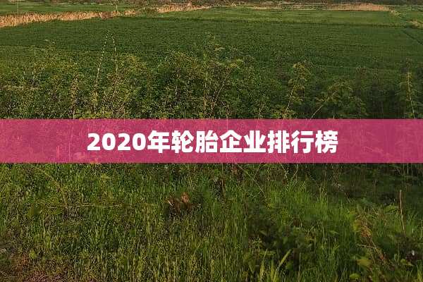 2020年轮胎企业排行榜