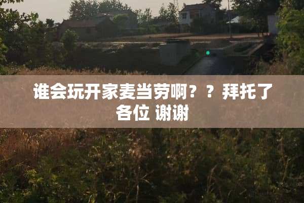 谁会玩开家麦当劳啊？？拜托了各位 谢谢