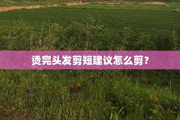 烫完头发剪短建议怎么剪？
