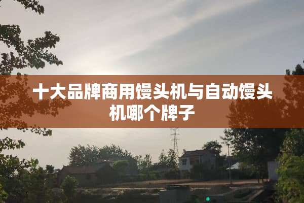 十大品牌商用馒头机与自动馒头机哪个牌子