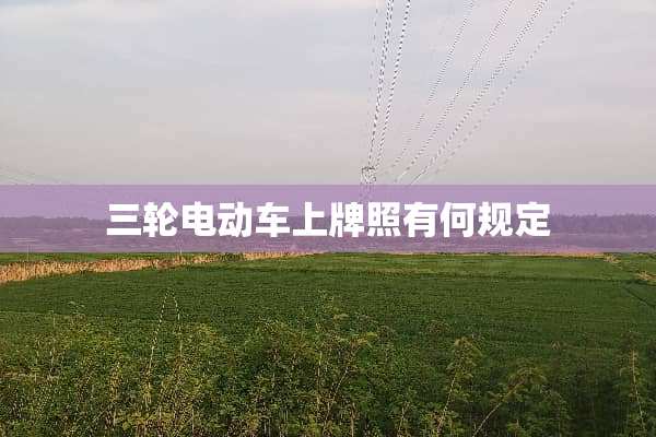 三轮电动车上牌照有何规定