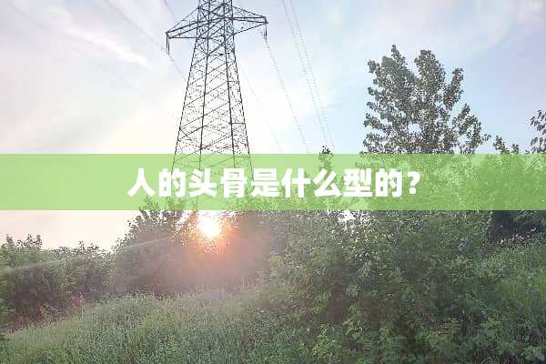 人的头骨是什么型的？