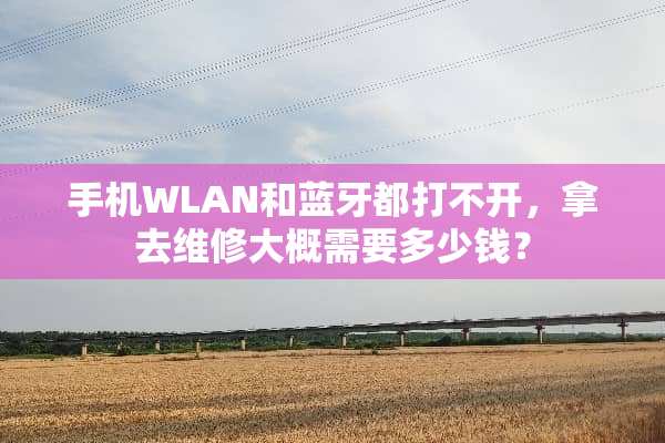手机WLAN和蓝牙都打不开，拿去维修大概需要多少钱？