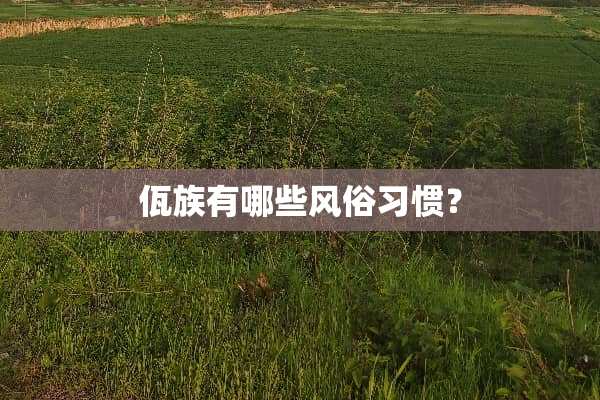 佤族有哪些风俗习惯？