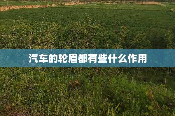 汽车的轮眉都有些什么作用