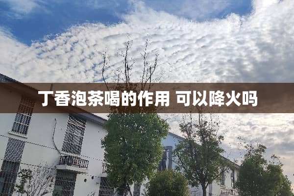 丁香泡茶喝的作用 可以降火吗