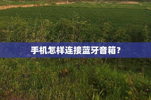 手机怎样连接蓝牙音箱？