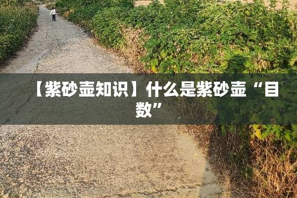 【紫砂壶知识】什么是紫砂壶“目数”
