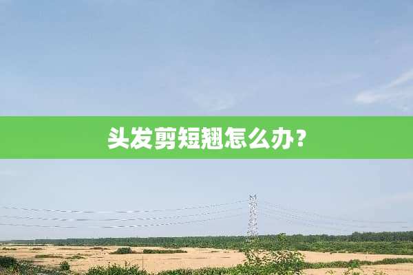 头发剪短翘怎么办？