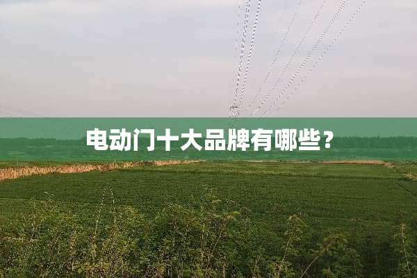 电动门十大品牌有哪些？