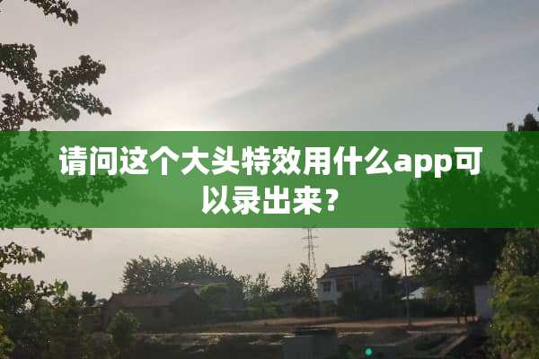 请问这个大头特效用什么app可以录出来？