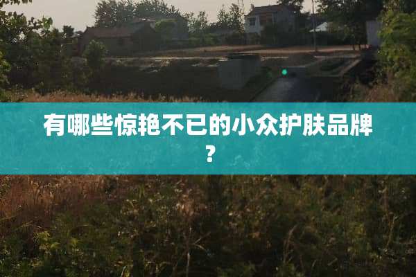 有哪些惊艳不已的小众护肤品牌？