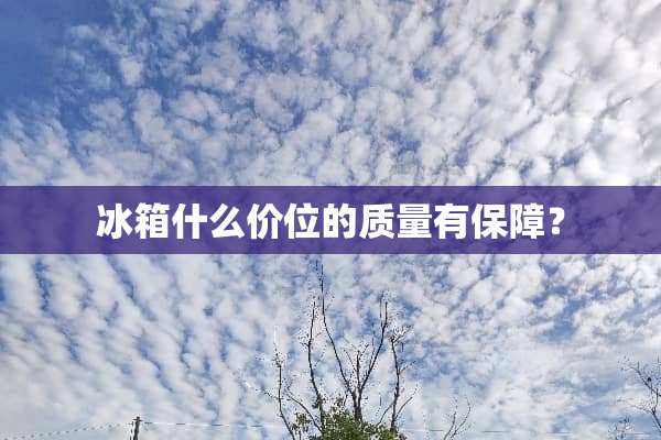 冰箱什么价位的质量有保障？