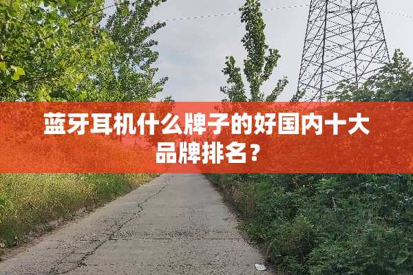 蓝牙耳机什么牌子的好国内十大品牌排名？