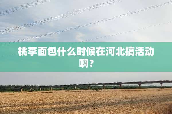 桃李面包什么时候在河北搞活动啊？
