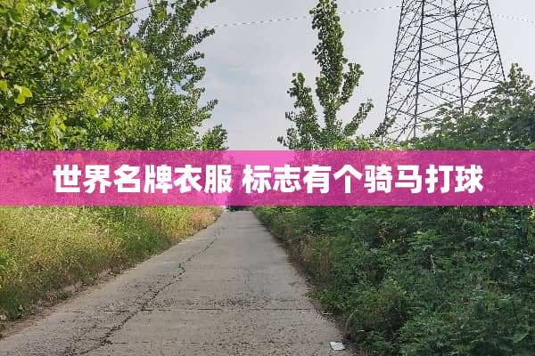 世界名牌衣服 标志有个骑马打球