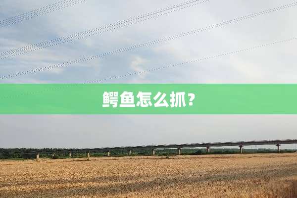 鳄鱼怎么抓？