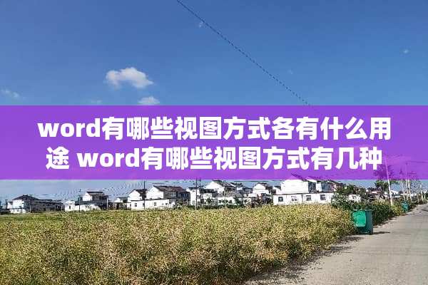 word有哪些视图方式各有什么用途 word有哪些视图方式有几种用途是什么