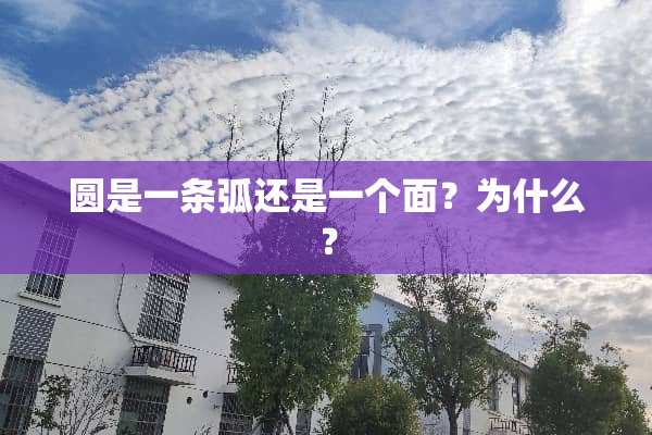 圆是一条弧还是一个面？为什么？