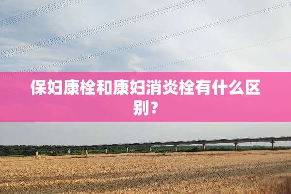 保妇康栓和康妇消炎栓有什么区别？