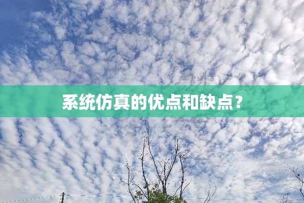 系统仿真的优点和缺点？
