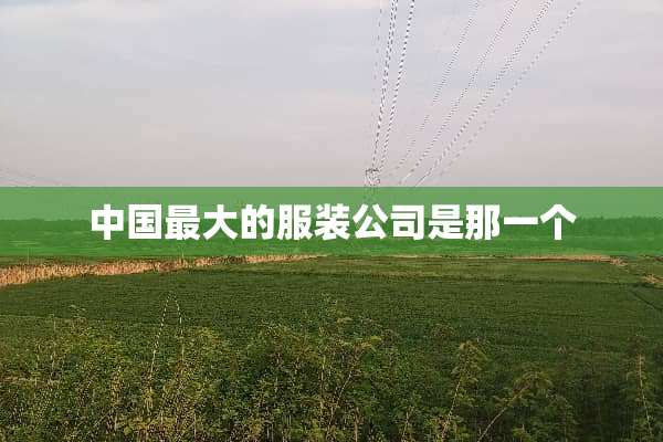 中国最大的服装公司是那一个
