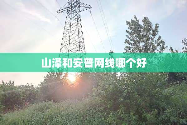 山泽和安普网线哪个好