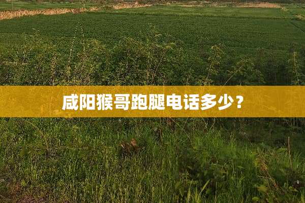 咸阳猴哥跑腿电话多少？