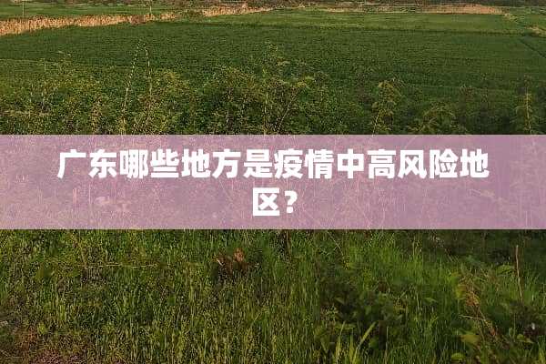 广东哪些地方是疫情中高风险地区？